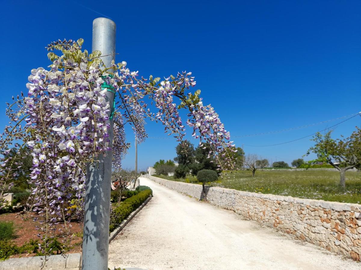 Dimora Verde B Con Trullo Masseria Poesia Чистернино Экстерьер фото