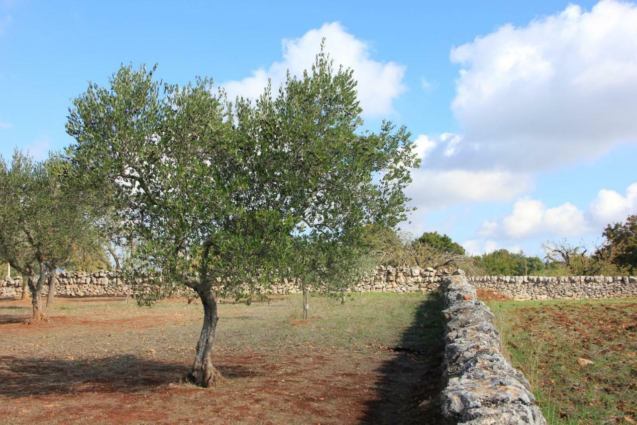 Dimora Verde B Con Trullo Masseria Poesia Чистернино Экстерьер фото
